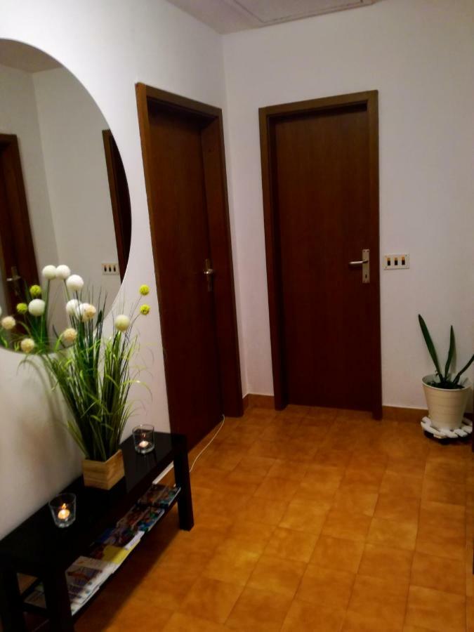 Sun House Apartament Brzac